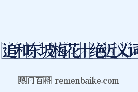 追和东坡梅花十绝近义词是什么意思的图片